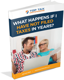back_taxes_ebook_image